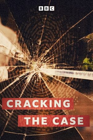 Cracking The Case (2025) poster