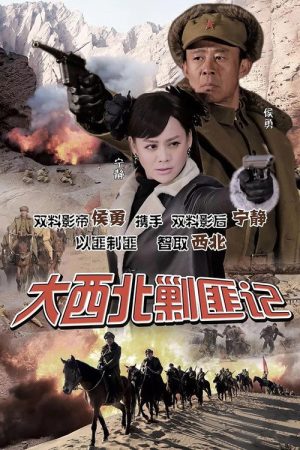 大西北剿匪记 (2017) poster