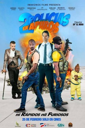Dos policías en apuros (2016) poster