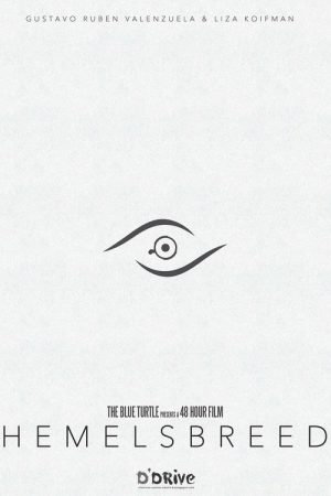 Hemelsbreed (2017) poster