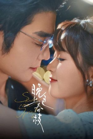 晚色上春枝 (2025) poster