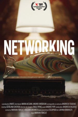 Networking (2025) poster