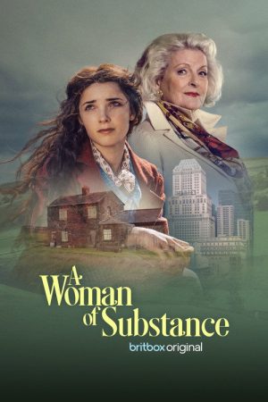 A Woman of Substance (2026) Web Series — Cast, Story & Where to Watch | MovieLinkBD poster