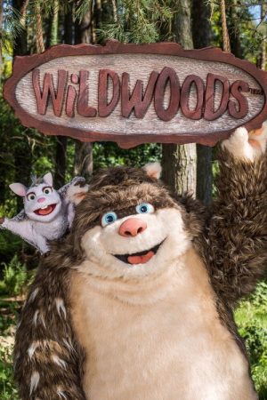 Wildwoods (2017) poster