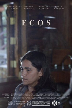 Echoes (2024) poster