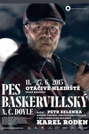 Pes baskervillský (2019) poster