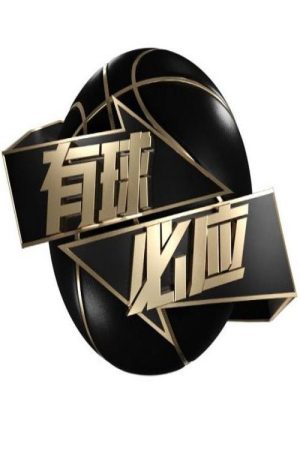 有球必应 (2018) poster