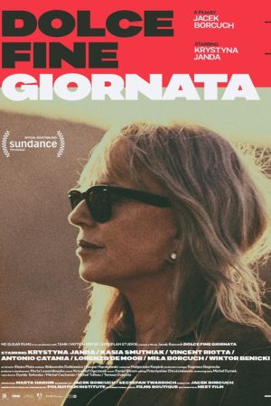 Dolce Fine Giornata (2019) poster