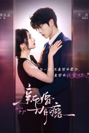新婚有瘾 (2026) poster