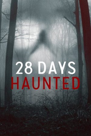 28 Days Haunted (2022) poster
