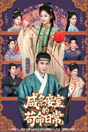 咸鱼妾室的苟命日常 (2025) poster