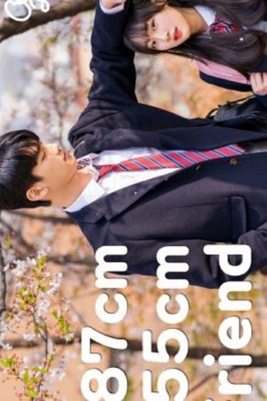187 cm Male Friend vs 155 cm Female Friend (2020) poster