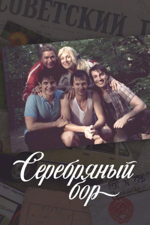 Серебряный бор (2017) poster