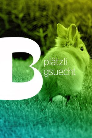 Plätzli Gsuecht (2021) poster