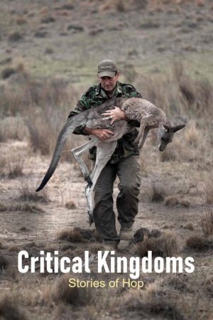 Critical Kingdoms – Stories of Hope (2023) poster