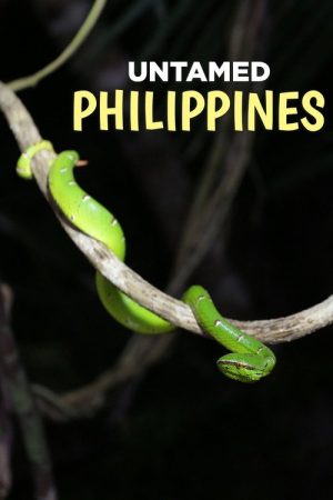 Untamed Philippines (2018) poster
