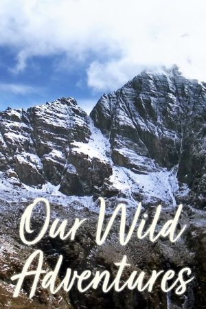 Our Wild Adventures (2021) poster