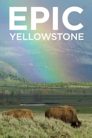 Epic Yellowstone (2019) poster
