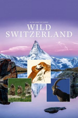 Wild Switzerland (2018) poster
