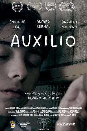 Auxilio (2024) poster
