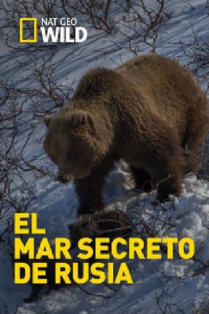 El mar secreto de Rusia (2018) poster