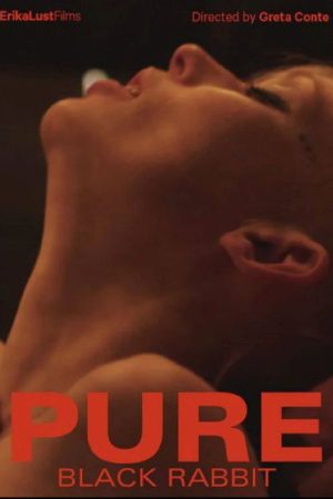 Pure – Black Rabbit (2018) poster