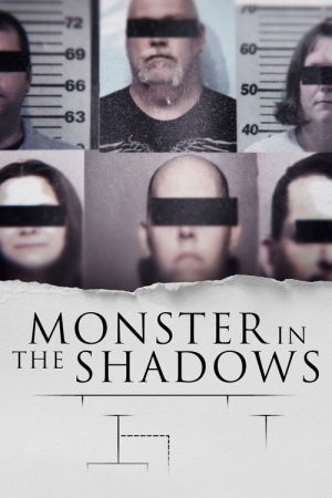 Monster in the Shadows (2021) poster