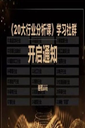 老裘的20大行业分析课 (2019) poster