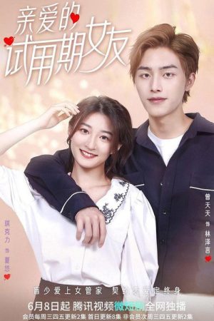 Dear Probationary Girlfriend (2022) poster