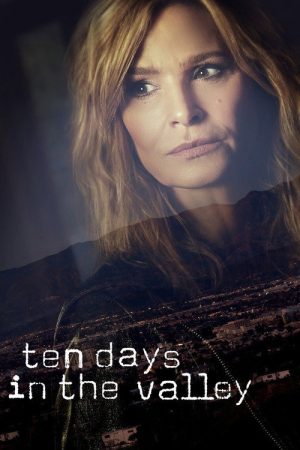 Ten Days in the Valley (2017) poster
