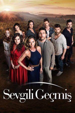Sevgili Geçmiş (2019) poster