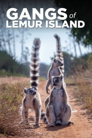 Gangs of Lemur Island (2019) poster