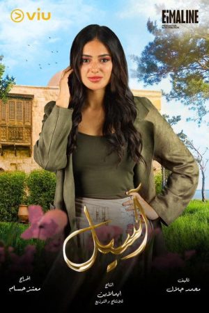 Aseel (2023) poster