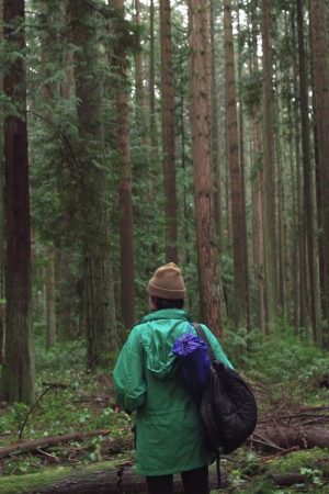 Forest Movie (2017) poster