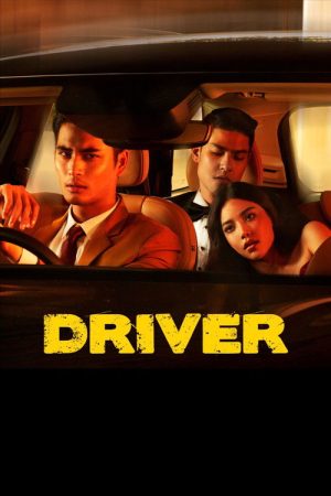 Driver (2017) poster