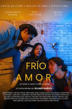Frío Amor (2024) poster
