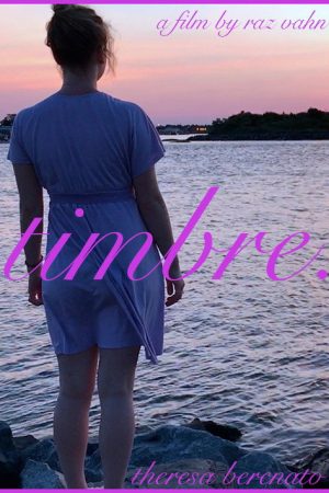 timbre. (2017) poster