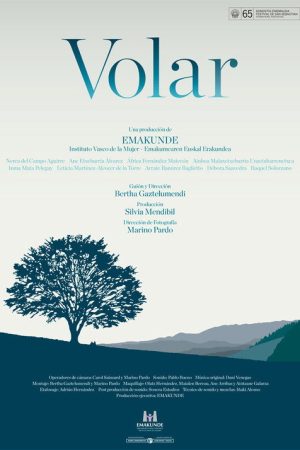 Volar (2017) poster