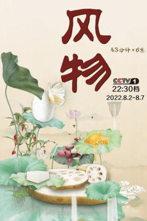 风物 (2022) poster