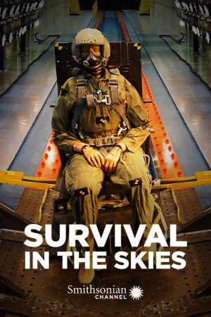 Survival in the Skies (2017) poster