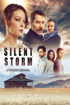 Swallow Storm (2017) poster