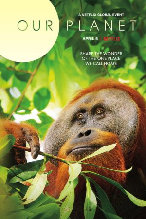 Our Planet II (2023) poster