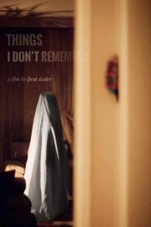 Things I Don’t Remember (2021) poster