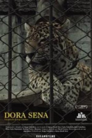 Dora Sena (2020) poster