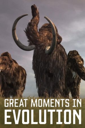 Great Moments in Evolution (2016) poster