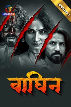 Baghin (2024) poster