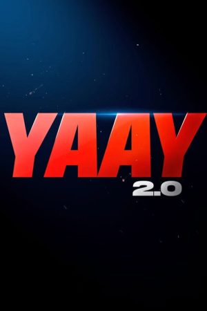 YAAY 2.0 (2022) poster