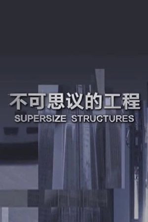 不可思议的工程 (2020) poster