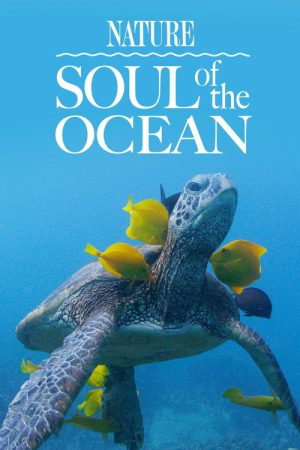 Soul of the Ocean (2022) poster