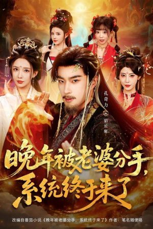 晚年被老婆分手，系统终于来了 (2025) poster